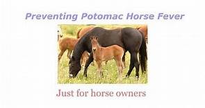 Potomac Horse Fever prevention
