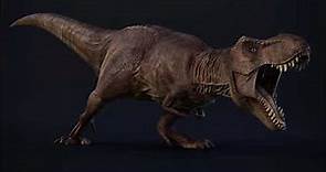 LES DIFFÉRENTS T. REX - Jurassic Data #2 "Y a-t-il plusieurs versions de Tyrannosaures?"