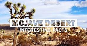 13 Fun Facts About The Mojave Desert