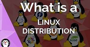 Linux DISTRIBUTION: explained