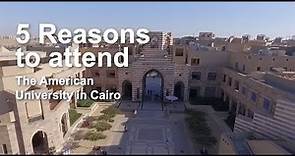 5 Reasons To Study Abroad in Cairo