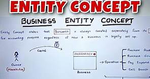 Entity Concept EXPLAINED - By Saheb Academy