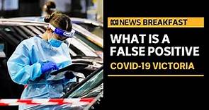 What is a false positive COVID test? And how do they happen? | ABC News