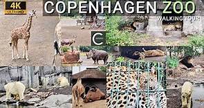 Tour At Copenhagen Zoo