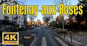 Fontenay-aux-Roses - Driving- French region