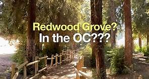 Redwood Grove Hike Guide (Carbon Canyon – Brea)