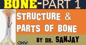 BONE -PART 1 | STRUCTURE & PARTS OF BONE