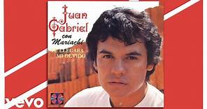 Juan Gabriel - Te Llegará Mi Olvido (Cover Audio)