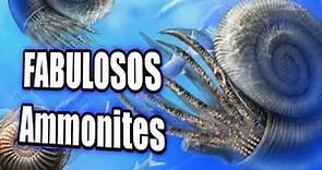 🌊Conoce a los épicos ammonites de los mares prehistóricos!!!🏝