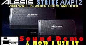 Alesis Strike Amp 12 Electronic Drum Amplifier - Sound Demo & How I Use It