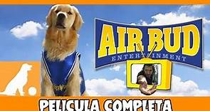 AIR BUD - Buddy Super Estrella | El Perro Jugador (Pelicula Completa - Audio Latino)
