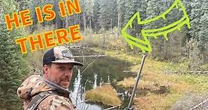 7 Min Moose Hunt In British Columbia Canada