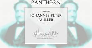 Johannes Peter Müller Biography - German zoologist