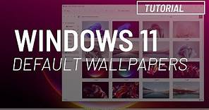 Windows 11: download default wallpapers in 4K, 1080p, other resolutions