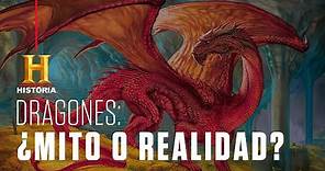 Dragones: ¿leyenda o realidad? | Criaturas Legendarias | Canal HISTORIA