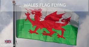 Wales Flag Flying 🏴󠁧󠁢󠁷󠁬󠁳󠁿