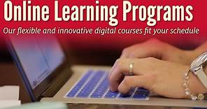 UH Engineering Online Learning Programs