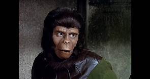 Planet of the Apes | Escape From Tomorrow