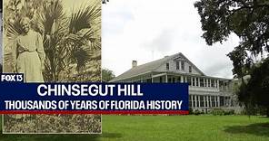 Chinsegut Hill captures Florida history