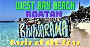 Oasis Of The Seas - BANANARAMA - West Bay Beach - Roatan - 3/2/2023