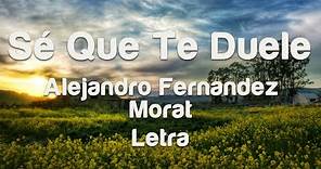 Alejandro Fernandez - Morat - Sé Que Te Duele - Letra