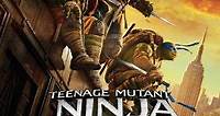 Teenage Mutant Ninja Turtles: Out of the Shadows (2016) Stream and Watch Online
