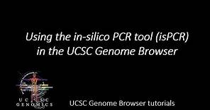 Using the in-Silico PCR (isPCR) tool in the UCSC Genome Browser