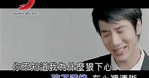 王力宏 你不知道的事 (Official Video Karaoke)