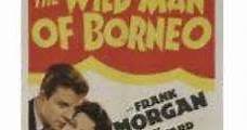 El gran salvaje (1941) Online - Película Completa en Español - FULLTV