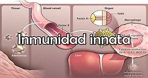 Inmunidad innata: definición, características, tipos y más
