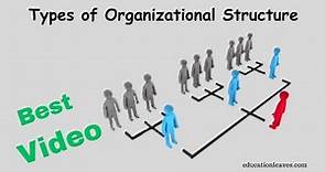 Types of Organizational Structure in management
