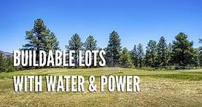 SOLD: Half Acre Lots In Timberon, NM
