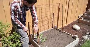 Cheap and Easy Trellises for the Home Garden