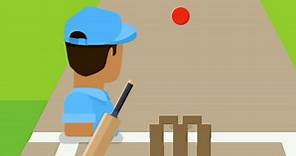 Cricket FRVR 🕹️ Play on CrazyGames