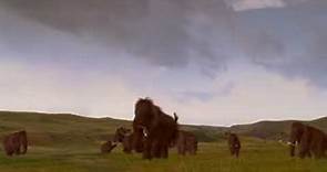 Land Of The Mammoth Mammoths Fighting