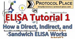 ELISA Tutorial 1: How a Direct, Indirect and Sandwich ELISA Works