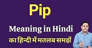 Pip meaning in Hindi | Pip ka matlab kya hota hai | Spoken English Class