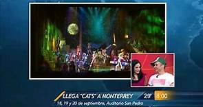 Las Noticias - Llega "Cats" a Monterrey