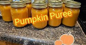 Pumpkin Puree + BONUS Pumpkin Seed Recipe