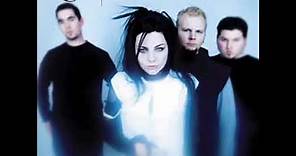 Evanescence Not For Your Ears Full Album 360p