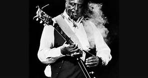 Albert King - 1969 - Drowning On Dry Land (Parts 1 & 2).mp4