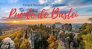 Parque Nacional de la Suiza Sajona: Puente de BASTEI.