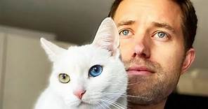Are Guys Who Like Cats Less Likely to Score a Date?