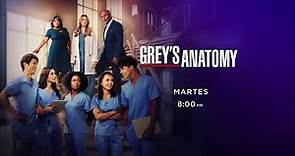 Grey's Anatomy | Nueva Temporada