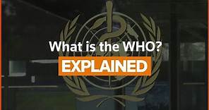 What is the World Health Organization?