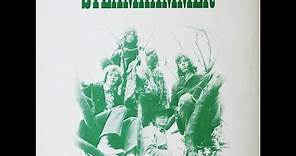 🇬🇧 Steamhammer - Steamhammer (Full Album 1970, Vinyl)