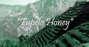 Tupelo Honey - Van Morrison