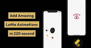 Lottie Animation in Flutter (The right way)| Flutter animations Tutorial [2022]