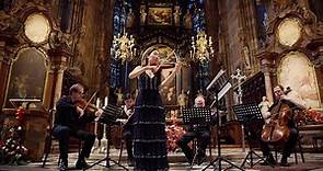 Vivaldi Vier Jahreszeiten | Four Seasons | Konzert im Stephansdom | Concert St. Stephen's Cathedral