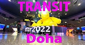 【Airport Tour】How to Transit at Qatar Doha Hamad International Airport
